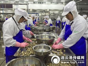對接“一帶一路”戰略，打造新時代進出口食品安全大通道